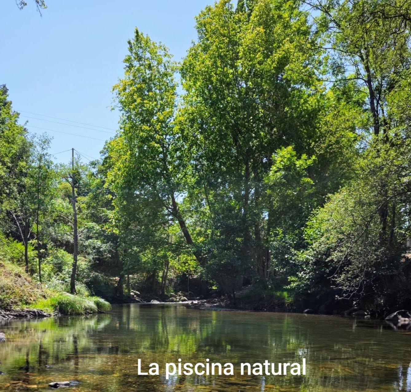 El Nial De Los Pinos 奥耶多 外观 照片